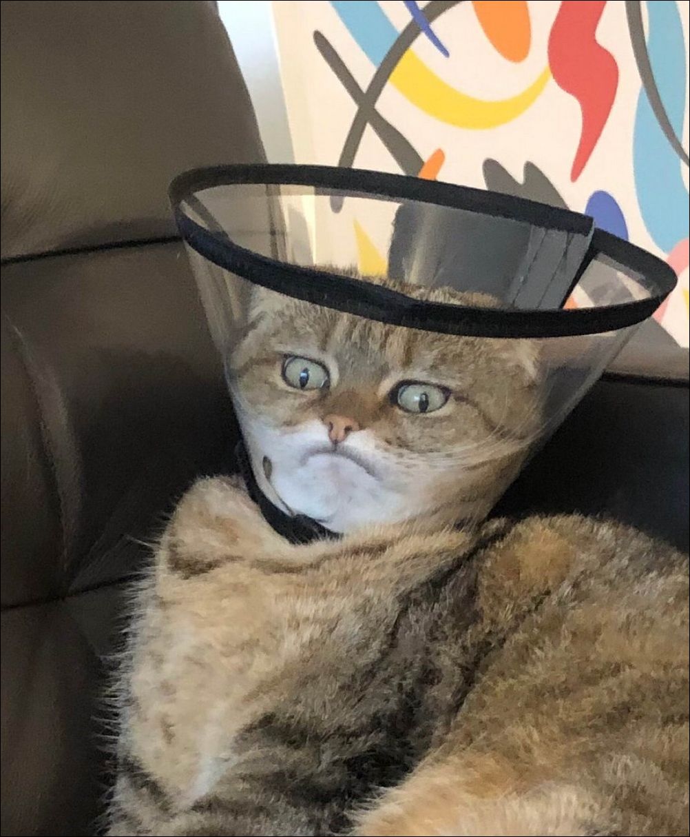 фото приколы