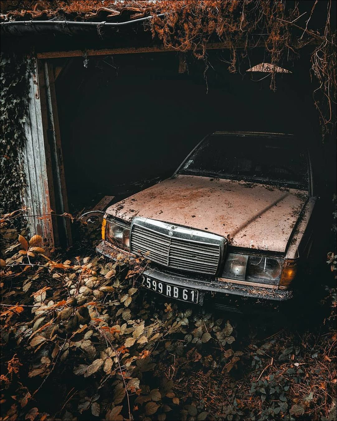 фото приколы