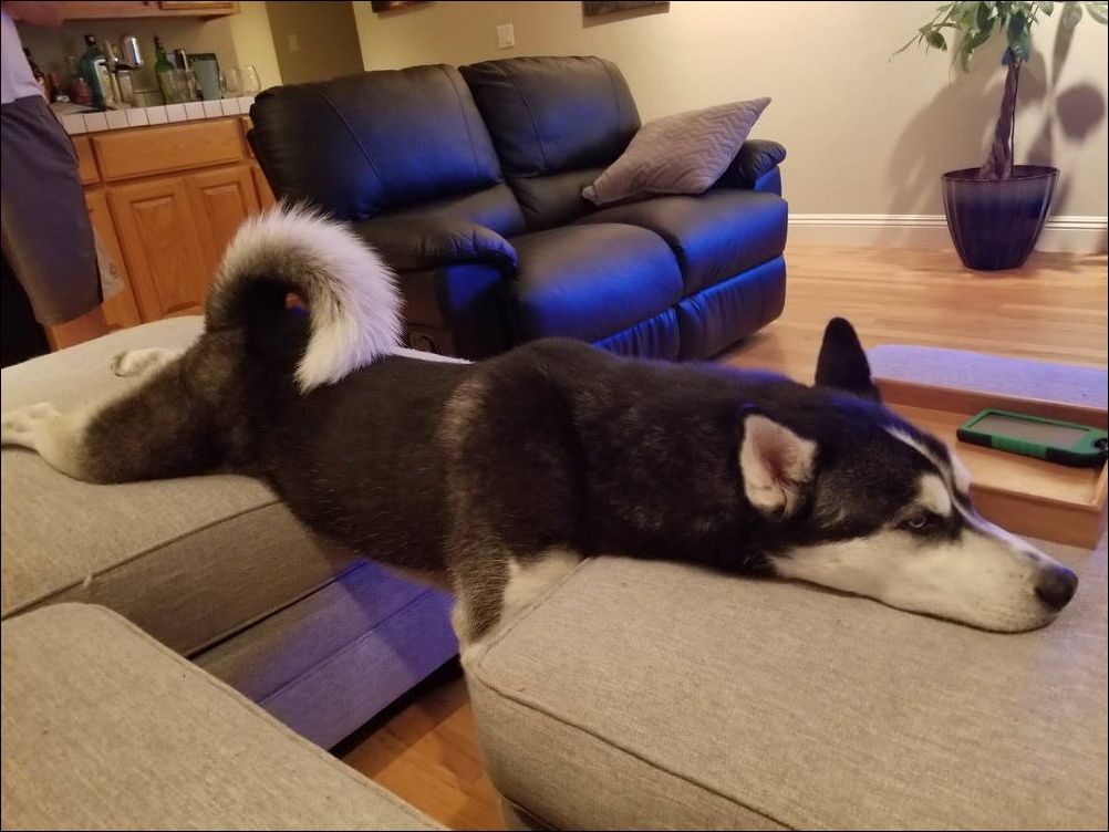 фото приколы