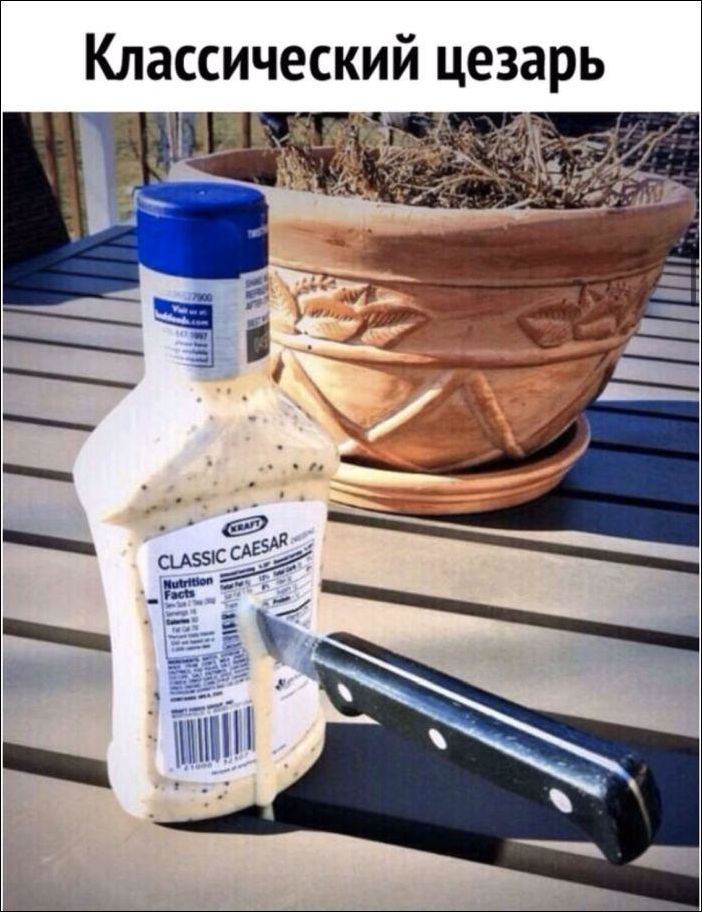 фото приколы