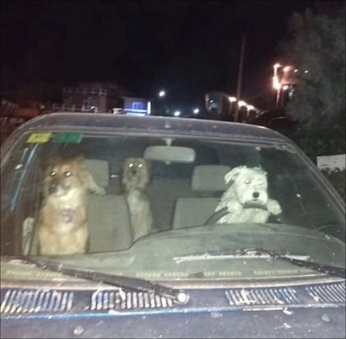 фото приколы