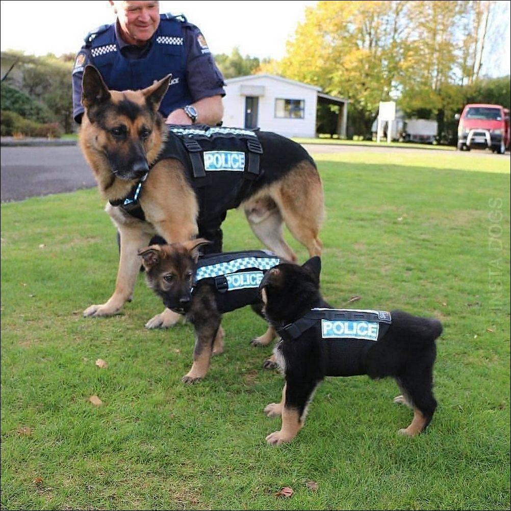 фото приколы