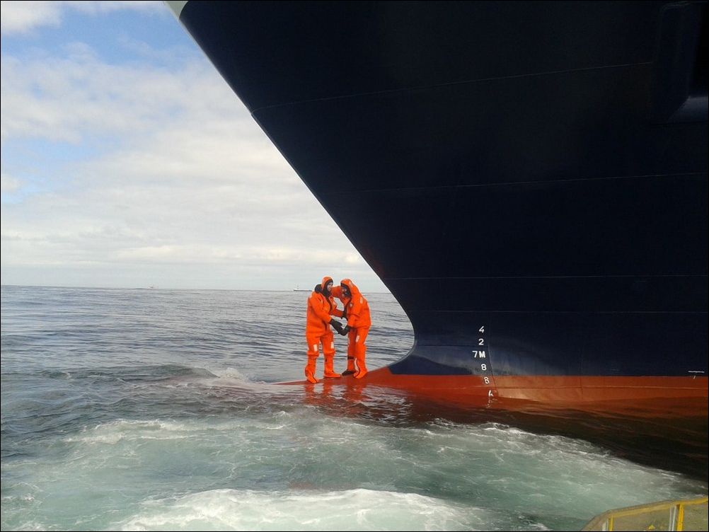 фото приколы