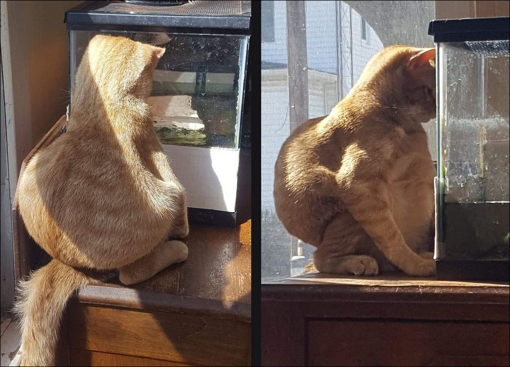 фото приколы