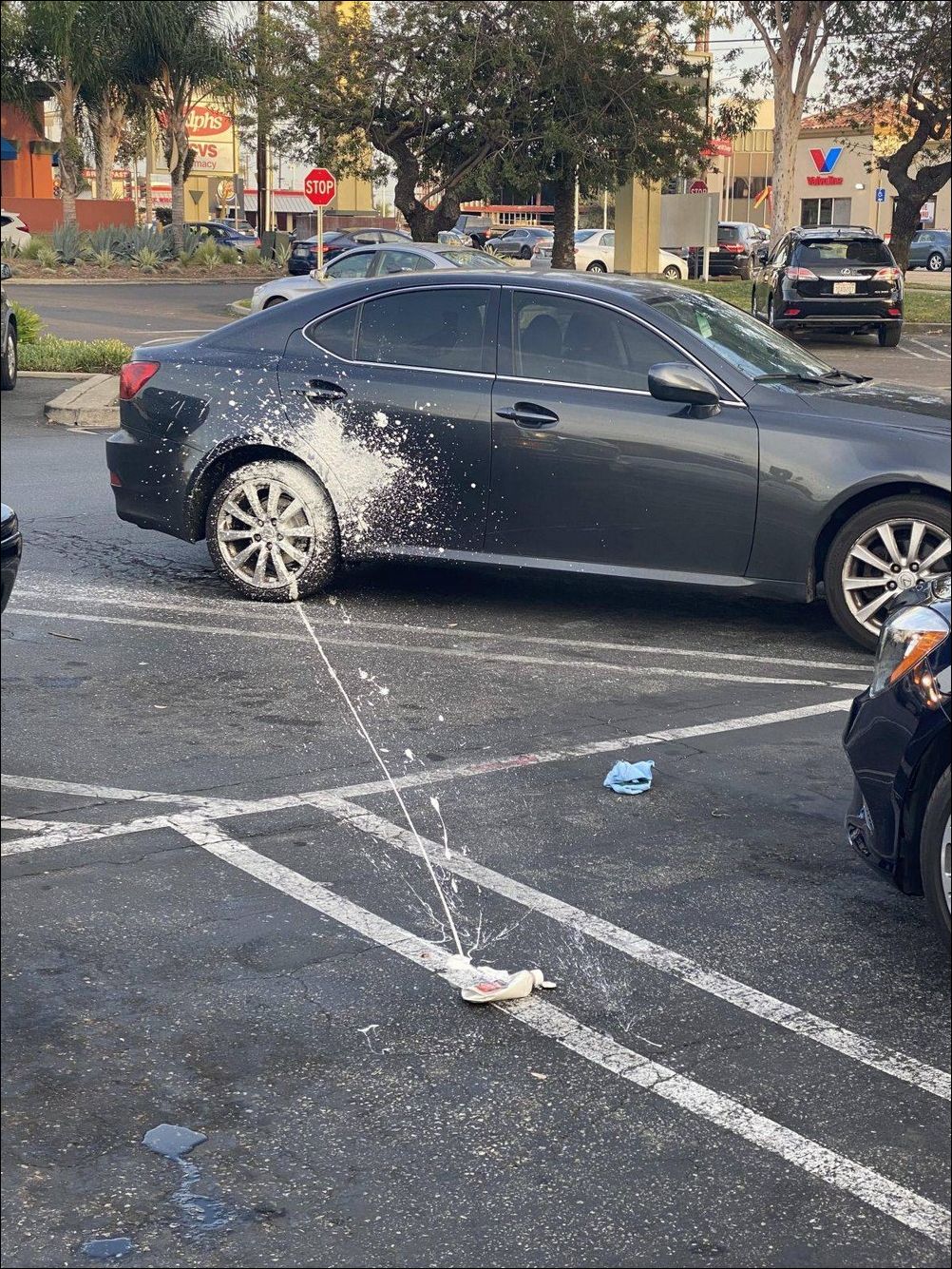 фото приколы