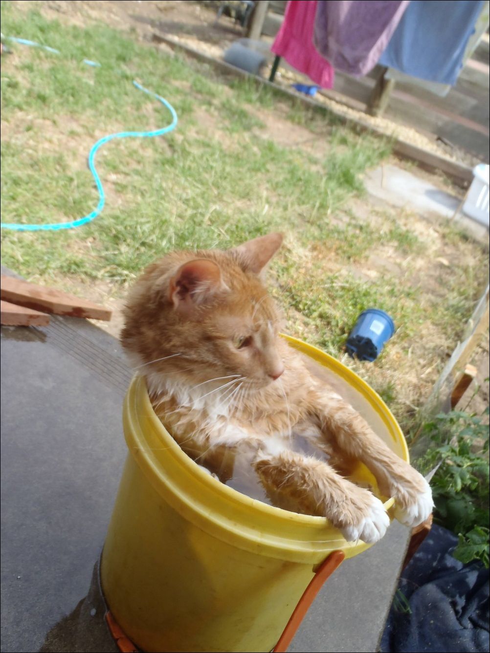 фото приколы