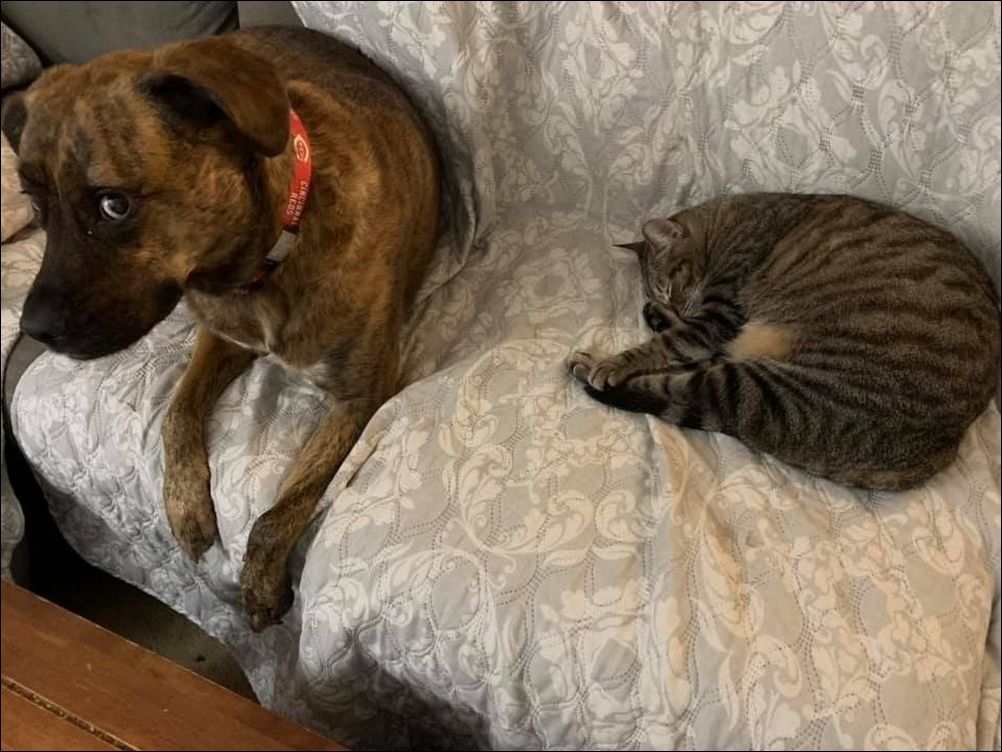 фото приколы