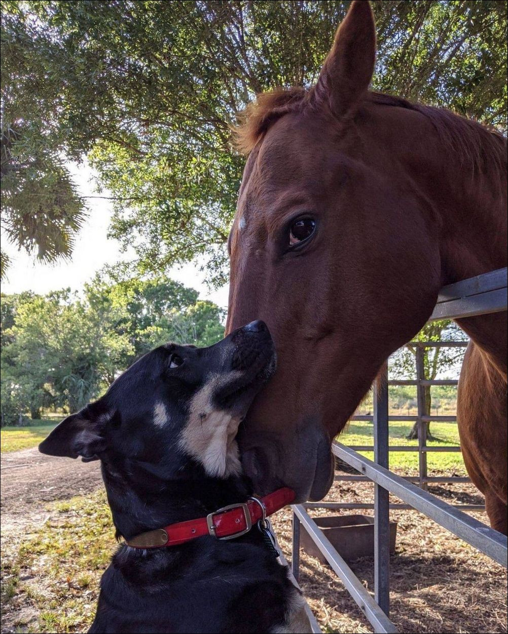 фото приколы