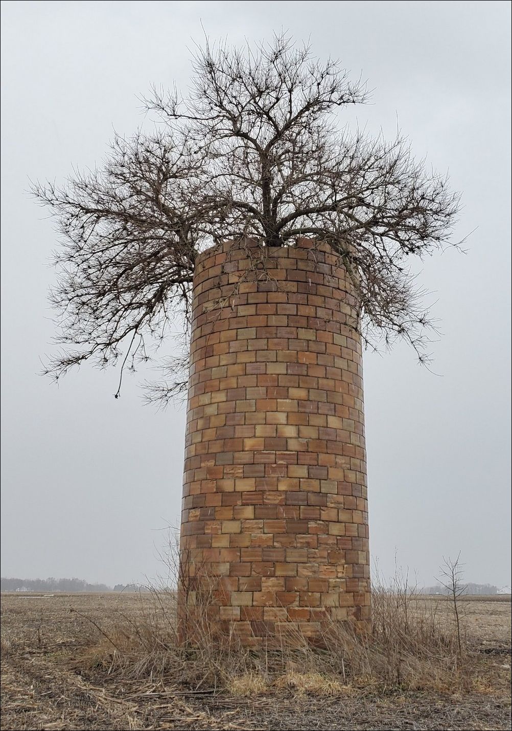 фото приколы