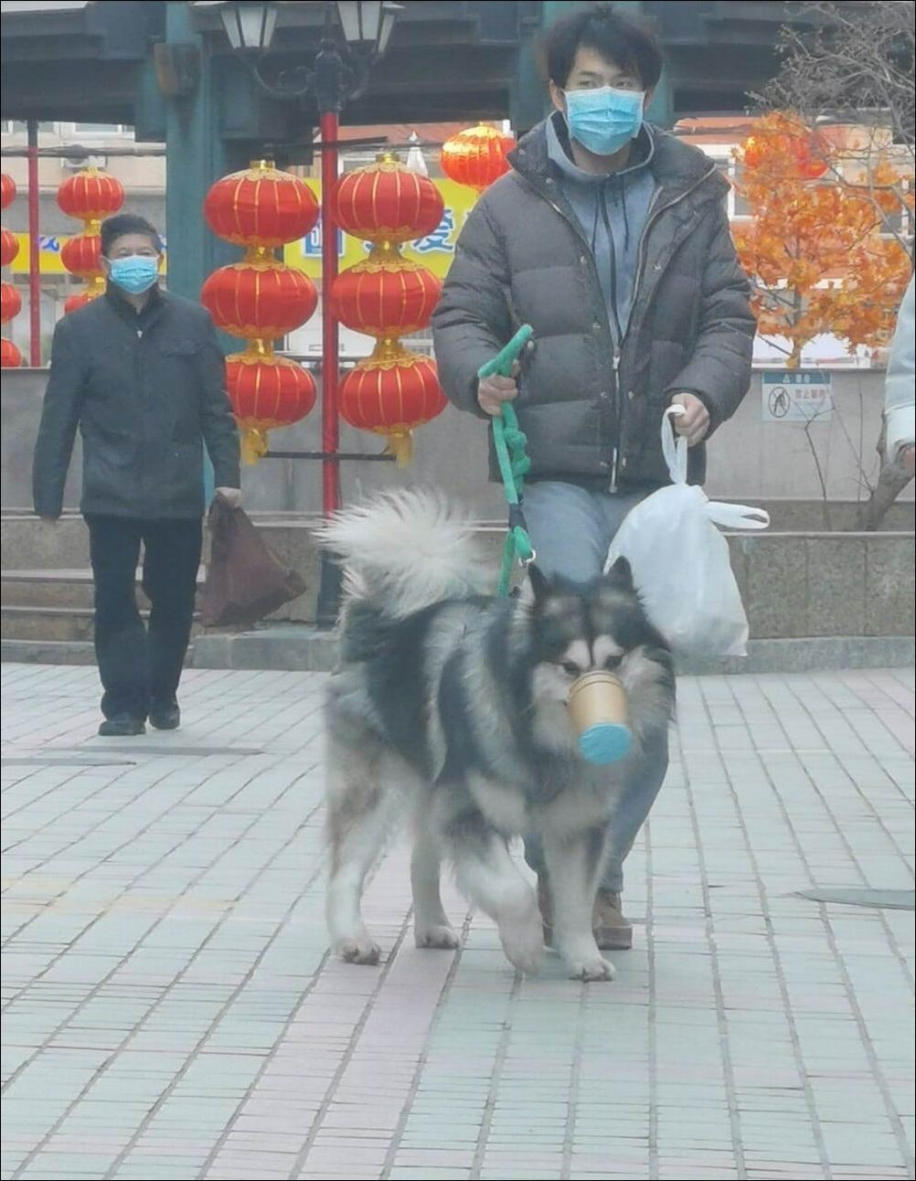 фото приколы