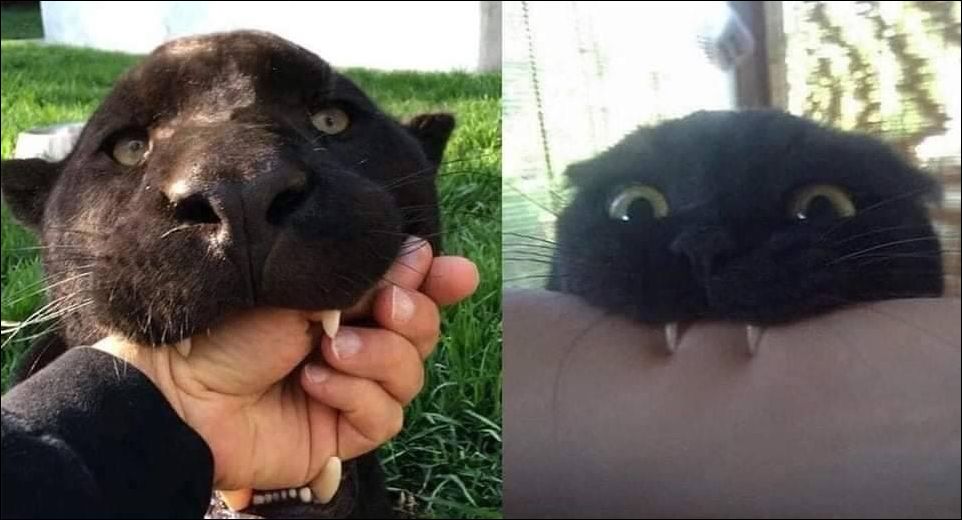 фото приколы