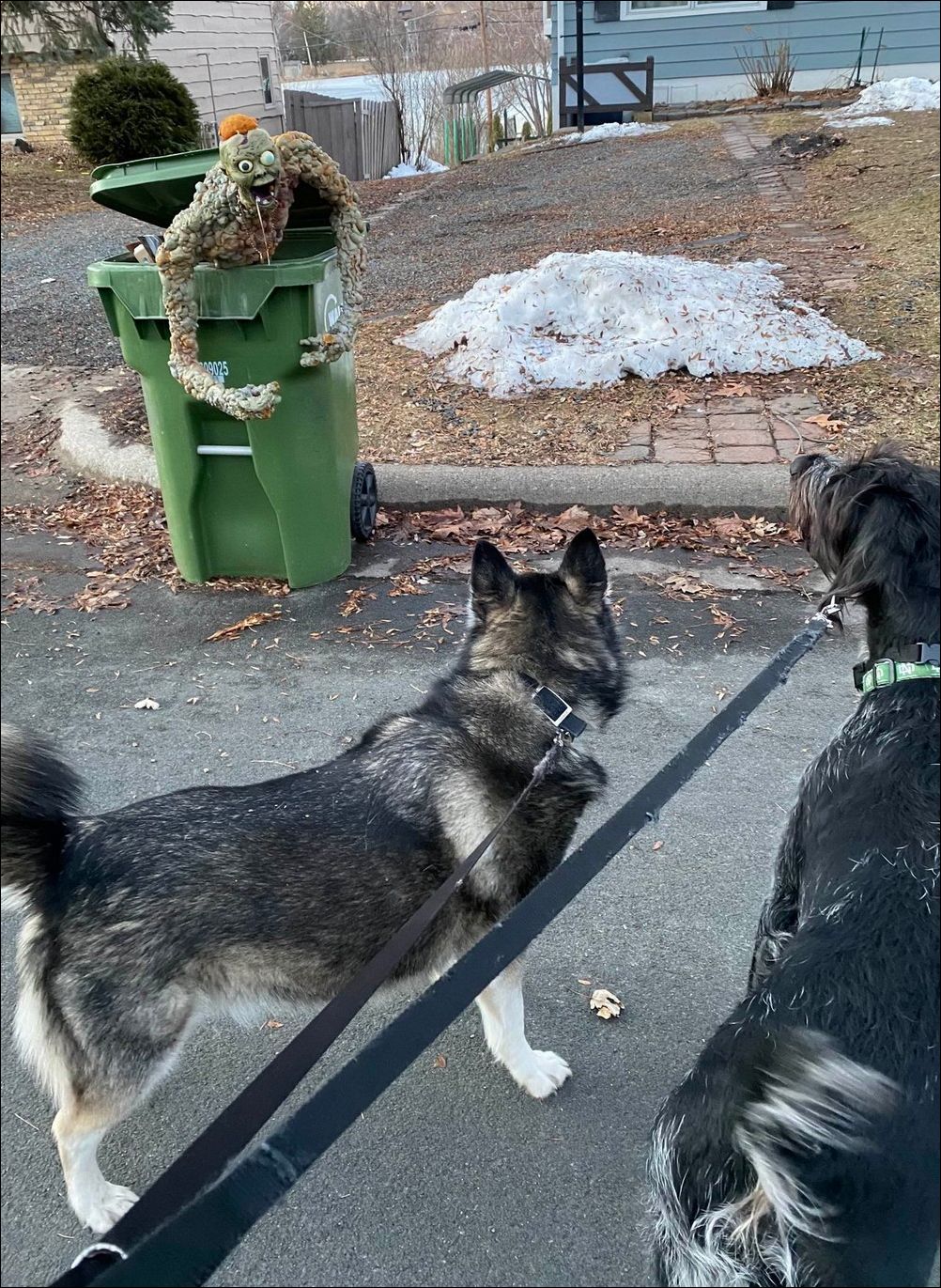 фото приколы