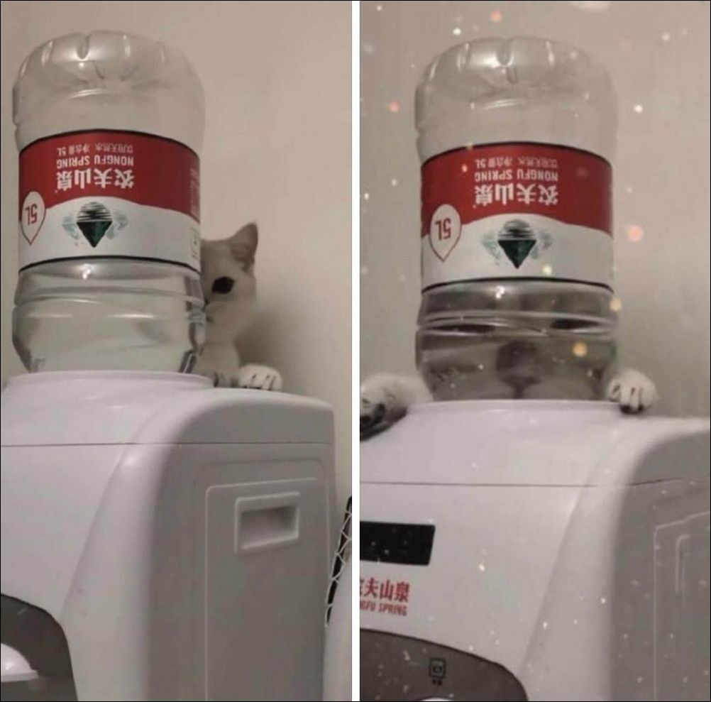 фото приколы