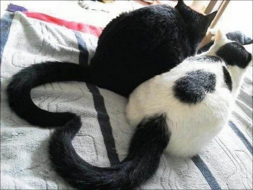 фото приколы