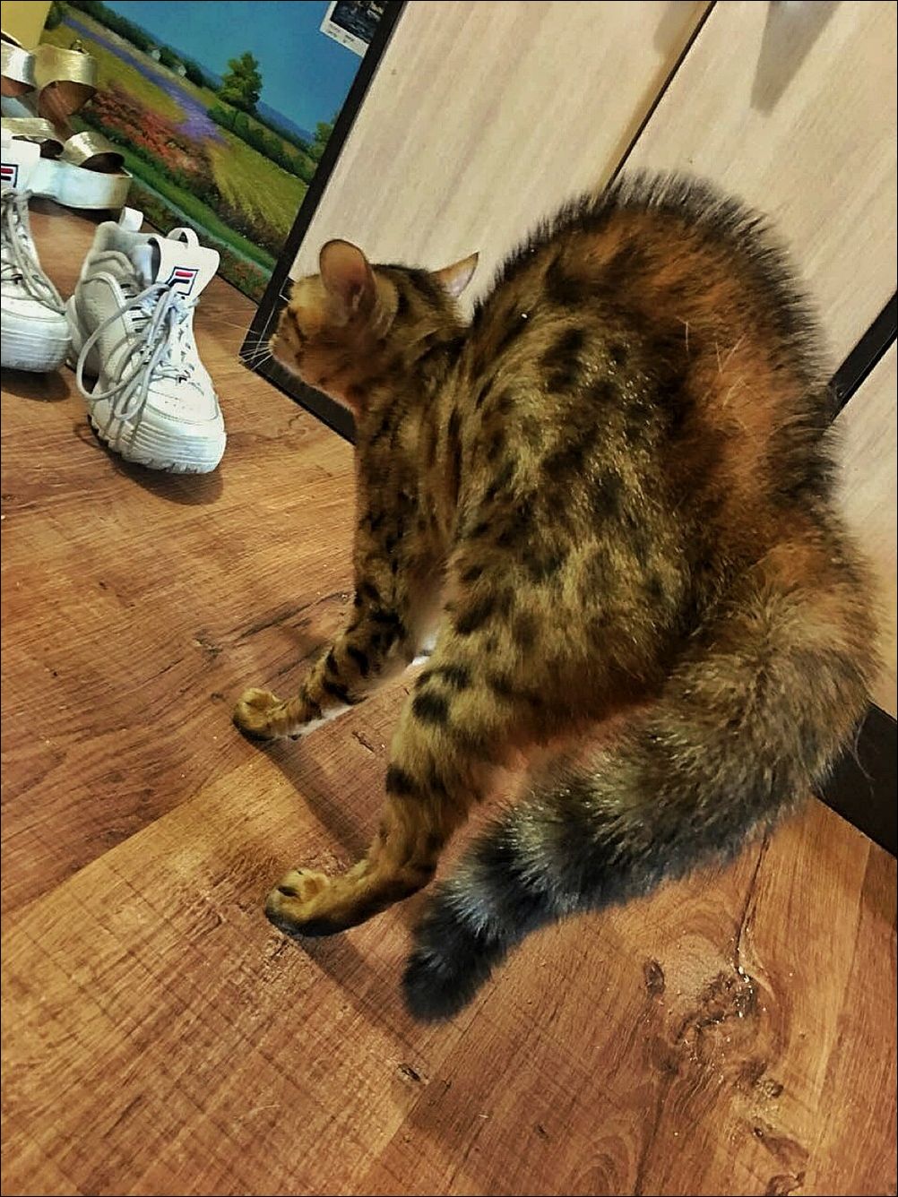 фото приколы