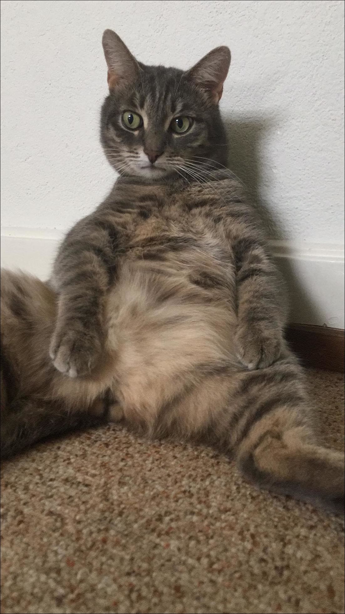 фото приколы