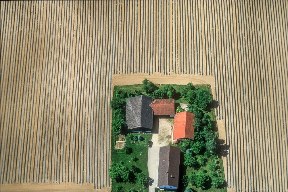 фото приколы