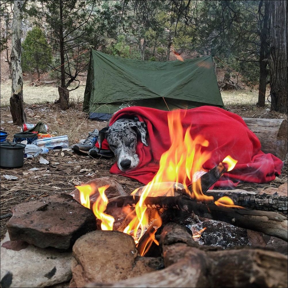 фото приколы