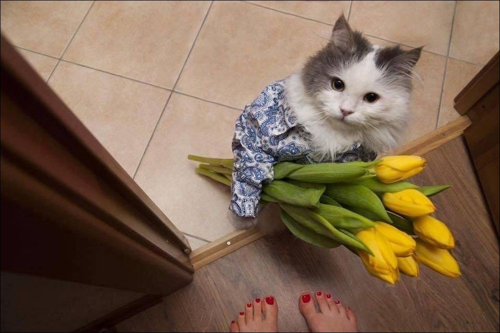 фото приколы