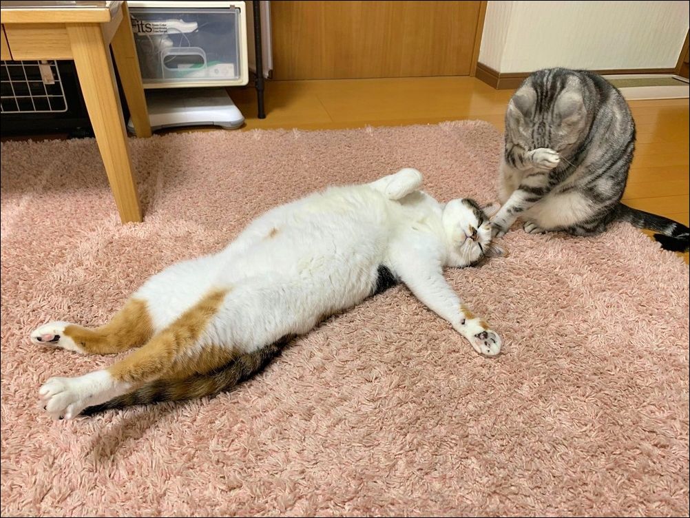 фото приколы