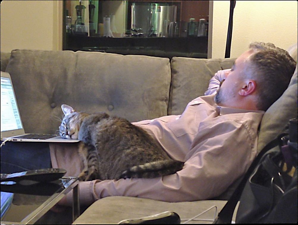 фото приколы