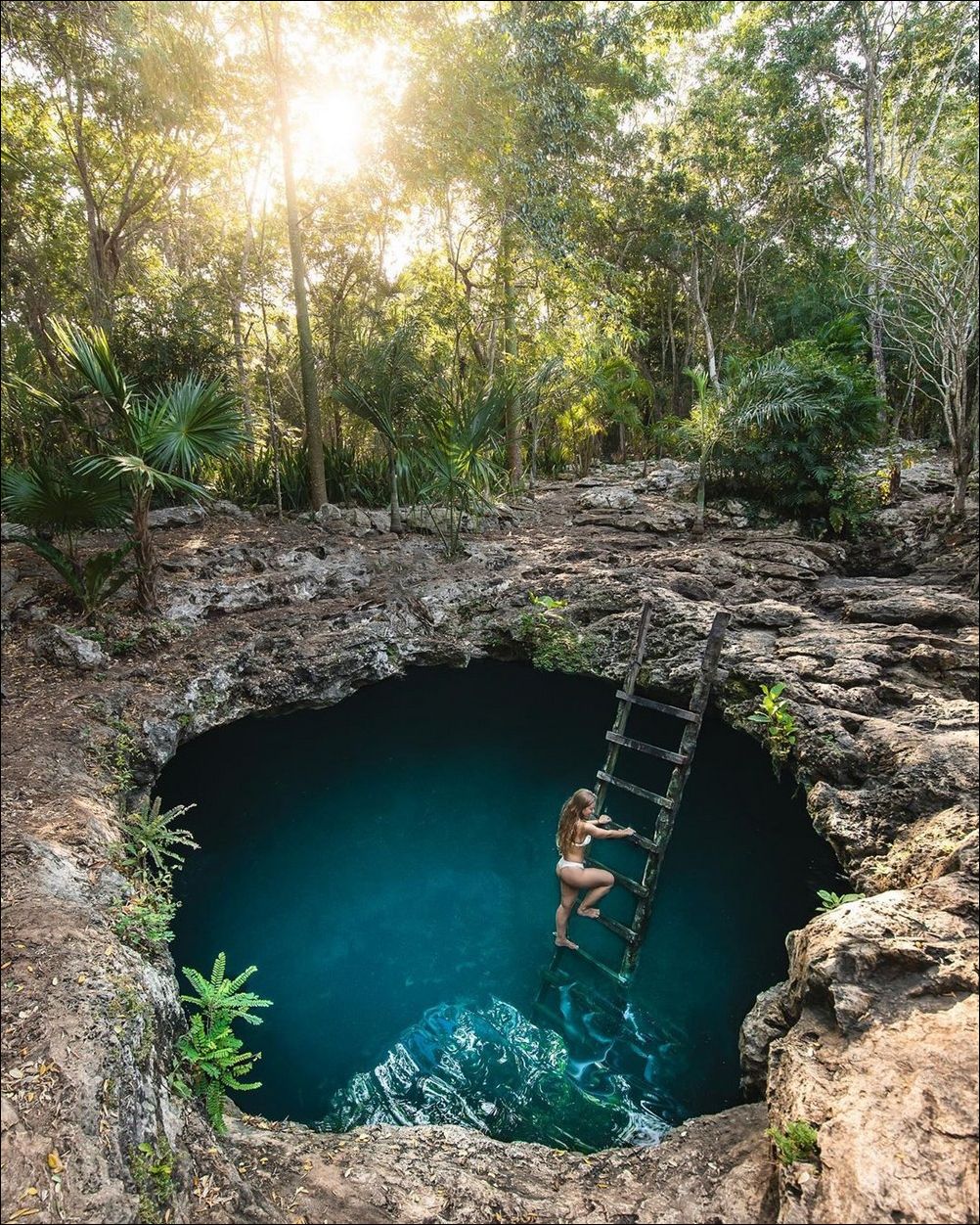 фото приколы