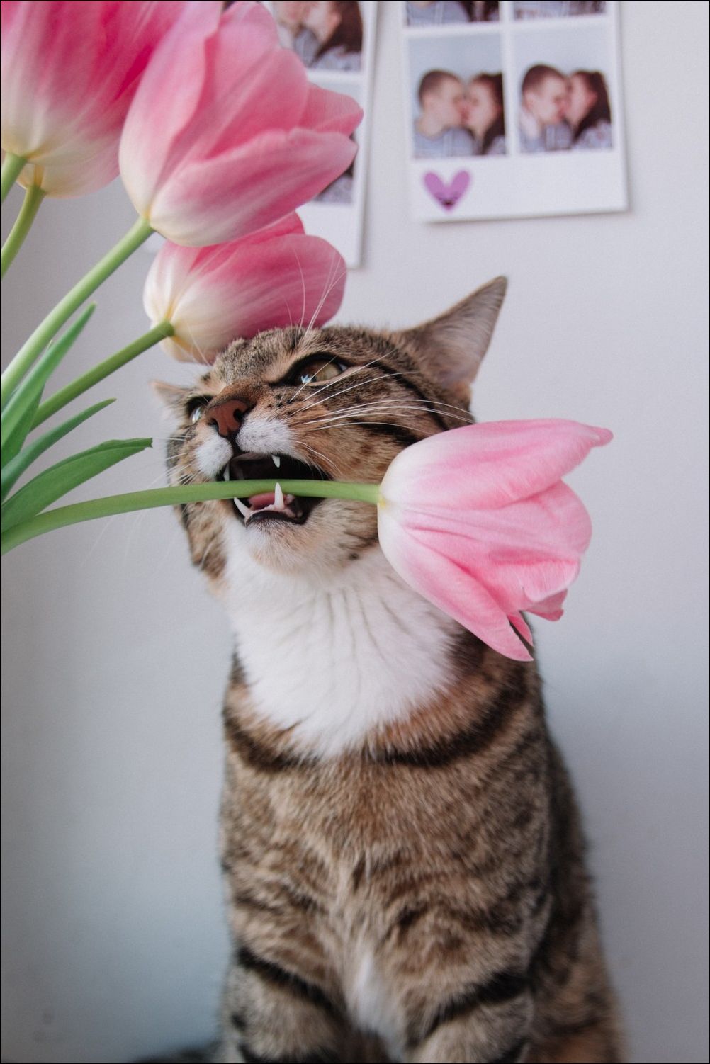 фото приколы