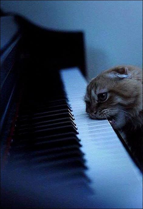 фото приколы