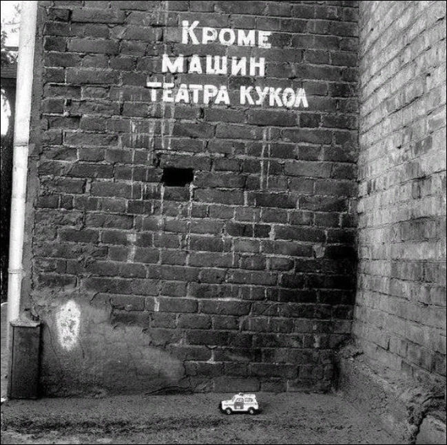 прикольные картинки