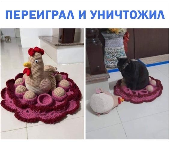 смешные картинки