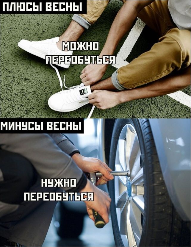 смешные картинки