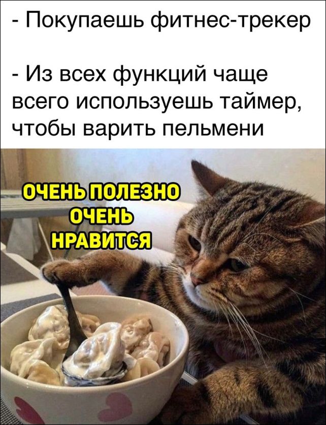 смешные картинки