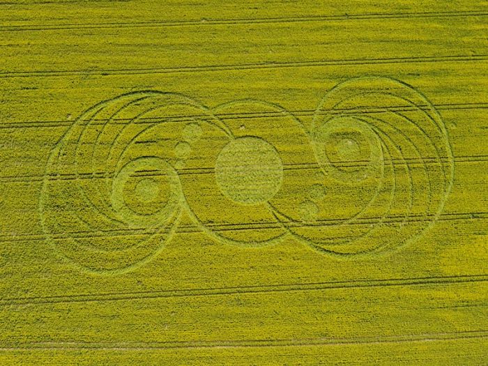 circles-on-fields-09
