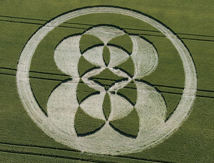 circles-on-fields-48