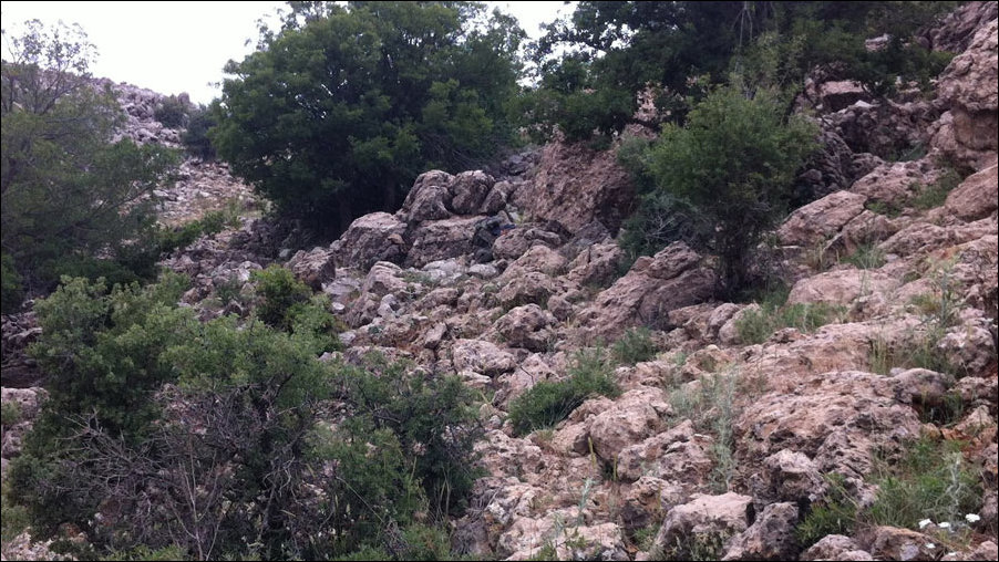 Найди солдат на фотографии