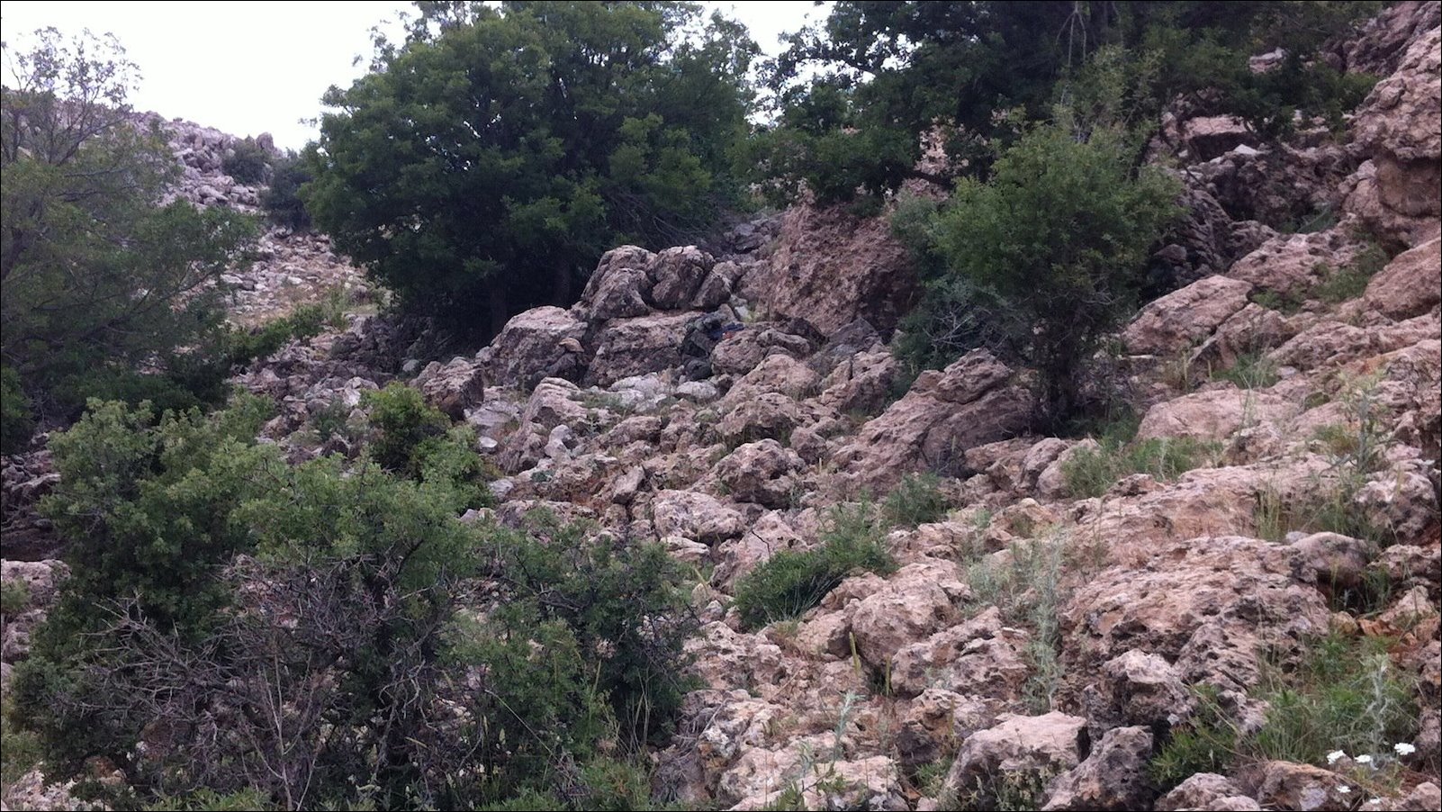 Найди солдат на фотографии