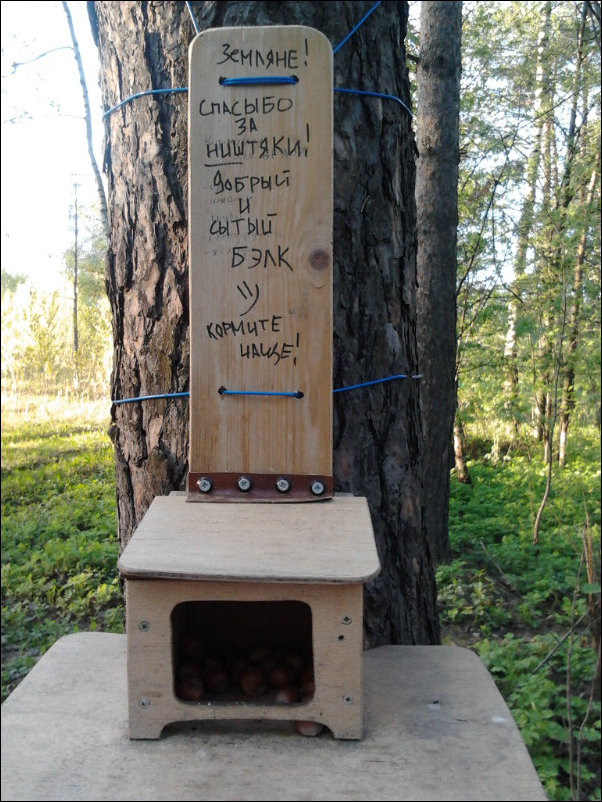 Прикольные надписи и объявления