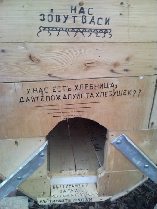 Прикольные надписи и объявления