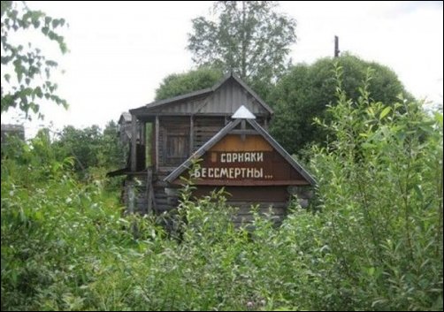 Прикольные надписи и объявления