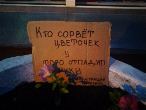 Прикольные надписи и объявления