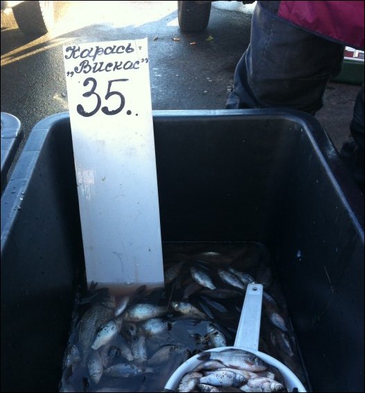 Прикольные надписи и объявления