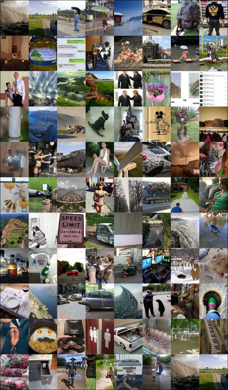 Фото приколы, подборка фотографий