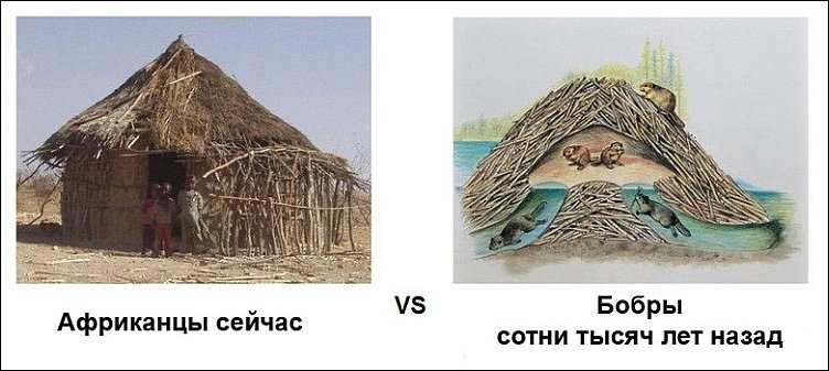 Фото приколы, подборка фотографий