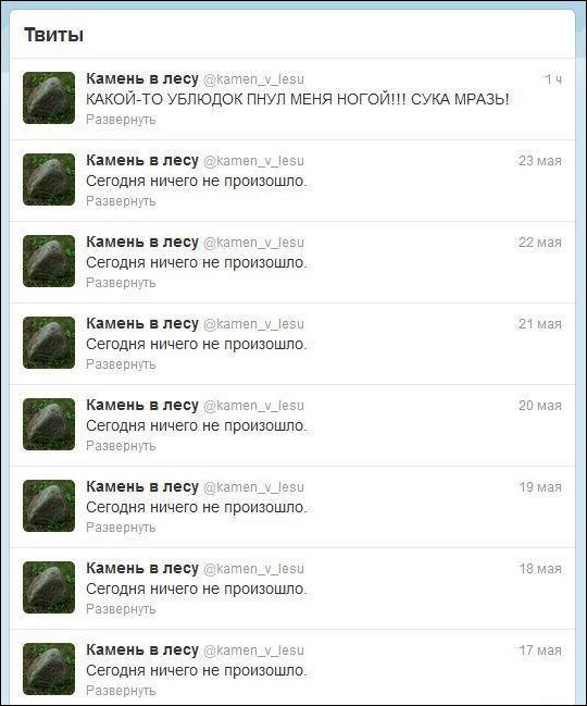 Фото приколы, подборка фотографий