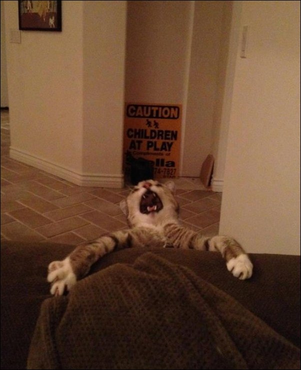 Фото приколы, подборка фотографий