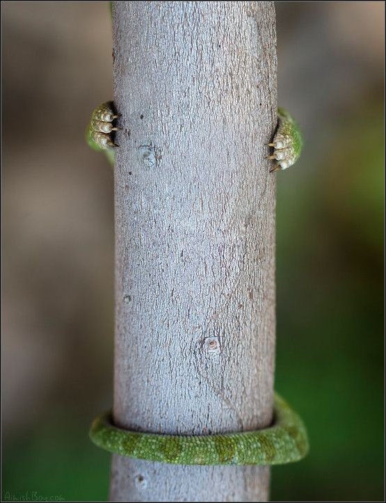Фото приколы, подборка фотографий