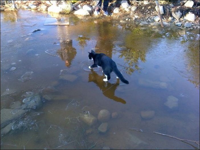 Фото приколы, подборка фотографий
