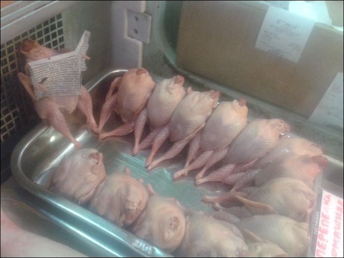 Фото приколы, подборка фотографий