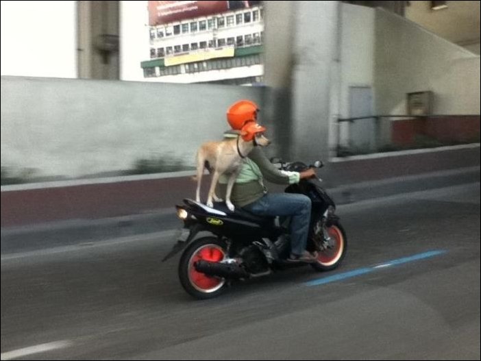 Фото приколы, подборка фотографий