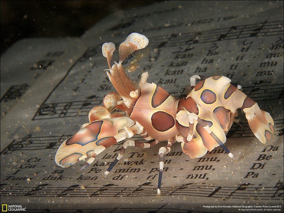 Фото приколы, подборка фотографий